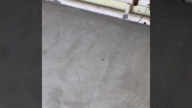 Как выровнять бетонный пол, сделав его ровным и гладким❓? смотреть онлайн