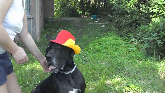 дача 06 07 14 005 смотреть онлайн