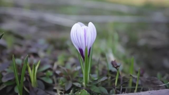 Биоритмы и сон (3.1) смотреть онлайн