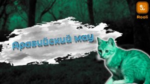 Особенности породы аравийская мау: что нужно знать?