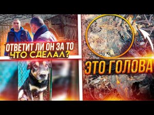 Обнаружили СОЖЕННЫХ собак и измученных живых. Их хозяин может остаться безнаказанным. Нужна ОГЛАСКА!