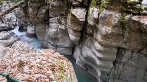 Каньон Белые скалы (Хоста, Сочи) осенью: очень красиво, но может быть скользко...