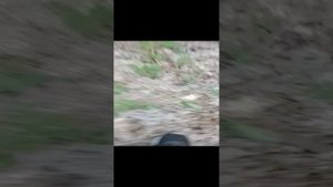 местические гаражы