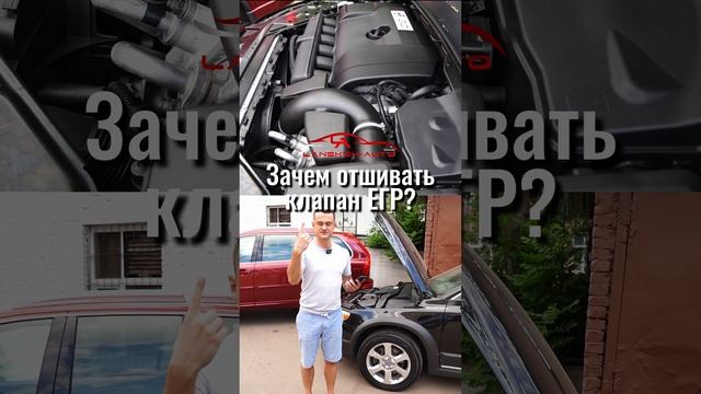 Клапан ЕГР – что за зверь и зачем его отшивать?