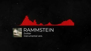 Rammstein - Zwitter Instrumental cover