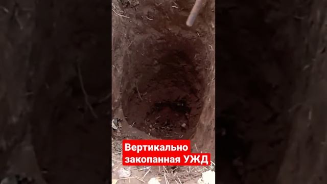 Сошло Семь потов пока откапывал вертикально закопанную УЖД... #КопМеталлавлесу