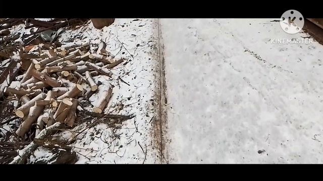 Поездка в Горловку на рынок. Ищем эстрофан по Енакиево для пьетренши. Обовсём понемногу.