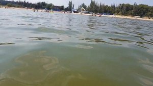 Юрьевка Азовское  Море