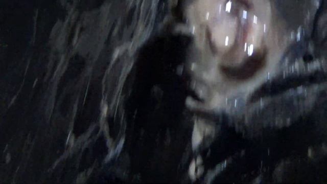 ПОМОГИТЕ! У КОШКИ НА АНУСЕ ЧЕРВИ!!! ЧТО ДЕЛАТЬ!? смотреть онлайн