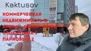 КОММЕРЧЕСКАЯ НЕДВИЖИМОСТЬ В АРЕНДУ_ОБЗОР_ПЕТРА СТОЛЫПИНА 3_ ПАРКОВЫЙ 2