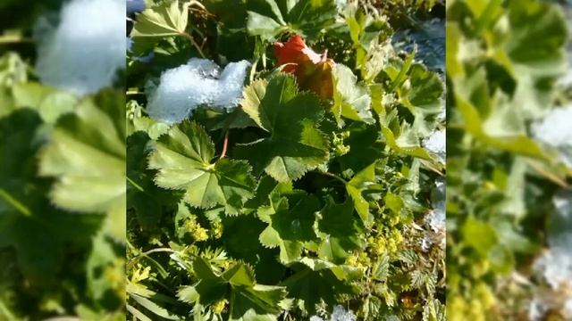 Поездка с моими пятиклашками в Танхой, Байкальский биосферный заповедник. 16.10.2021 г. смотреть онлайн