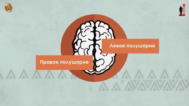 28 ноября 2017 г. смотреть онлайн