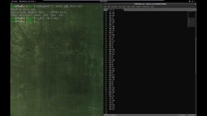 2012 Cicada 3301 Solutions Part 1
