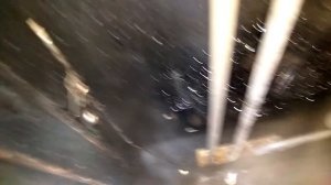 Термостат духового шкафа - где он?