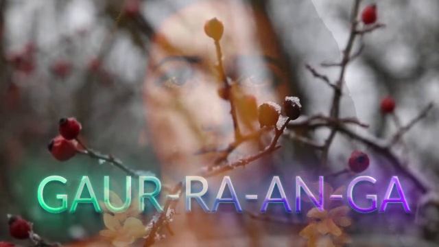 Вечер YOGA SOUND с Балакхилья дасом