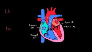 Lub Dub | Circulatory system physiology | NCLEX-RN | Khan Academy