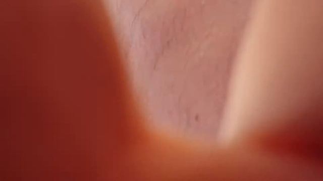 Соревнования по гребле на каноэ. Опыт оказался неудачным смотреть онлайн