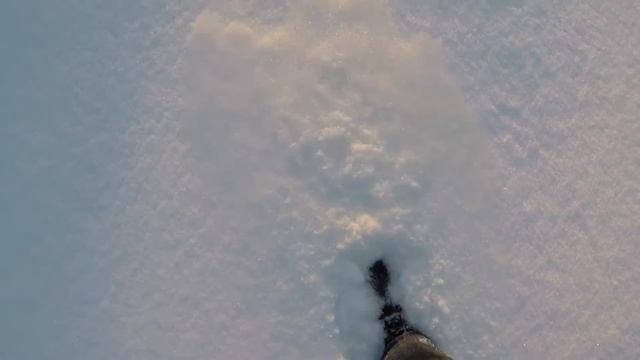 ЗАБЫТАЯ НОЧЬ Маргарита Бахарева (гитарная версия) смотреть онлайн