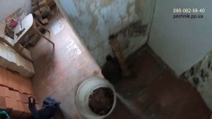 ЕСТЬ ГРУБА И ДЫМОХОД С ЧЕГО НАЧАТЬ ВОССТАНОВЛЕНИЕ ПЕЧНОГО ОТОПЛЕНИЯ? Часть1. Pechnik Tv.
