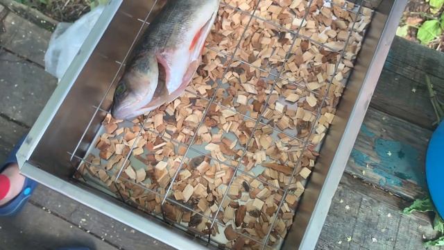 Коптим окуней. Одна из самых вкусных рыб всего за 20 минут! / Smoked perch