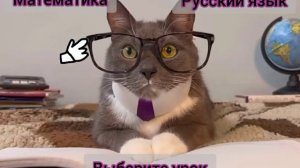 игра про котиков в школе (2 часть)