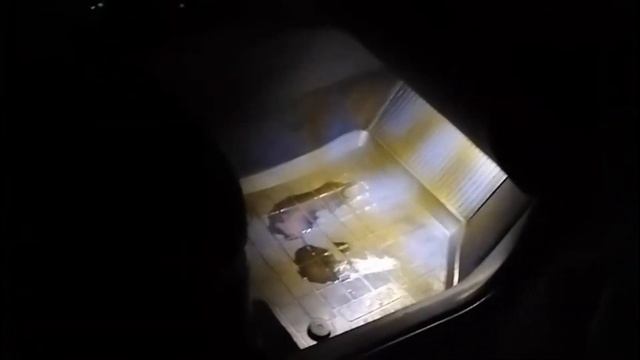 Двухрежимная подсветка ног, и плавное затухание кнопок в салоне, Skoda Octavia A7 смотреть онлайн