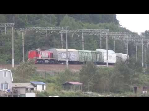 ТЭМ2К-5065 смотреть онлайн