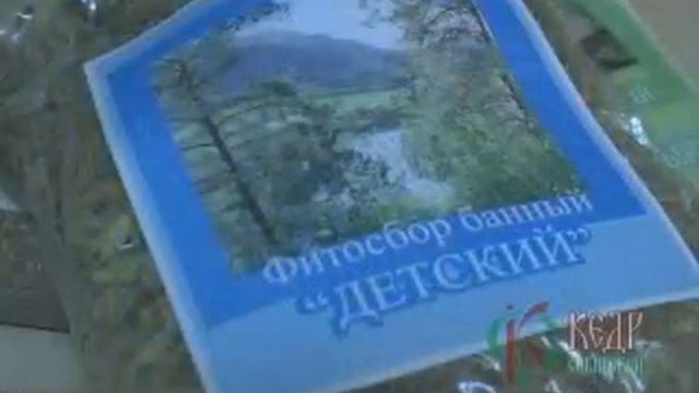 Kedrsib.ru смотреть онлайн