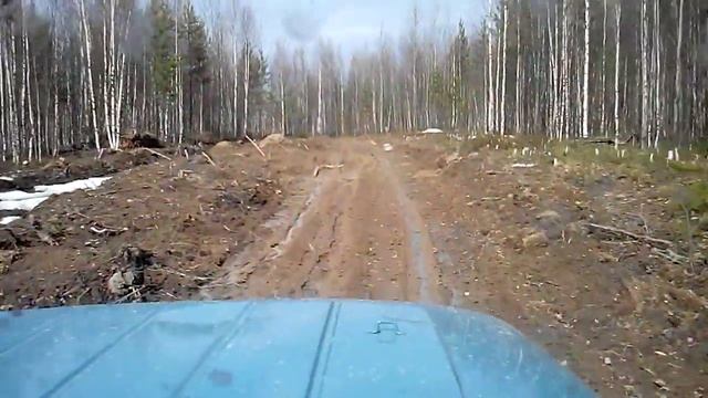 245 резаная резина