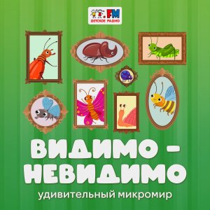 Перистокрылки - самые маленькие жуки на свете