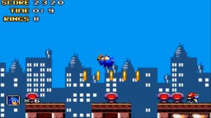 Русское прохождение игры Sonic the Hedgehog: Blasting Adventure, no damage.