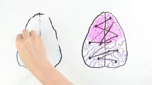 Кто умнее: мужчины или женщины?