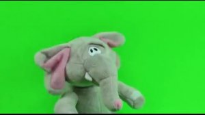 Лопоухий слоник