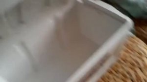 Термоконтейнер Igloo