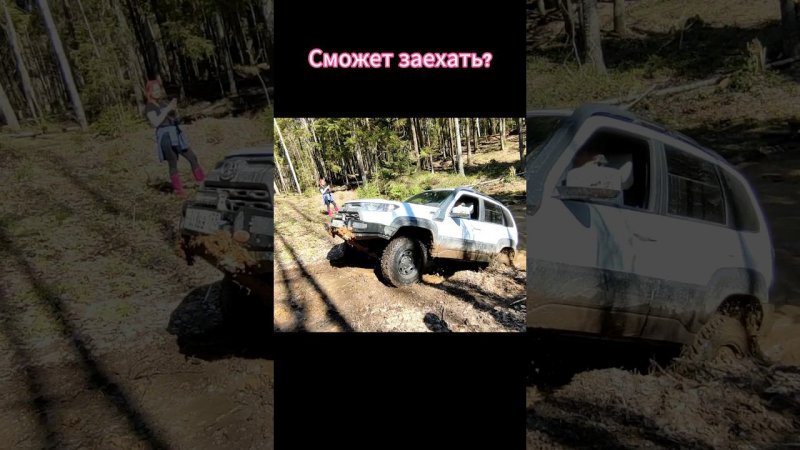 Нива Тревел vs Крутой подъем | Ваши ставки, господа #ниватревел #offroad #nivatravel #ниваедет