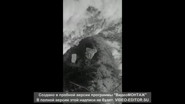 Год эксплуатации ТДН 400 Лонг. .+лайфхак. Year of operation TDN 400 Long. + life hack смотреть онлайн