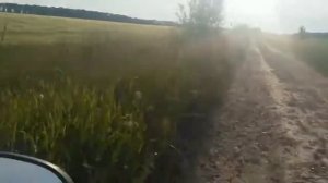 На скутере по бездорожью