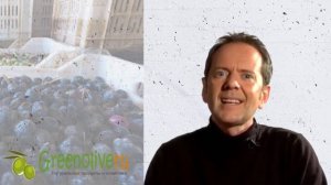 Вяленые оливки GREENOLIVE