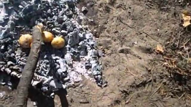 Картошечка в лесу на костре Как правильно запечь картошку смотреть онлайн