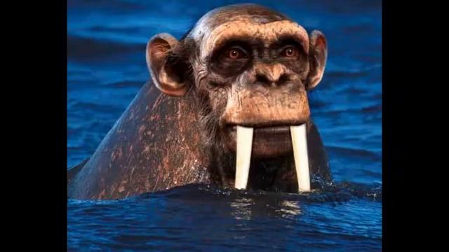 animales con photoshop смотреть онлайн