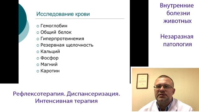 Рефлексотерапия у Животных |  Диспансеризация | Интенсивная Терапия в Ветеринарии