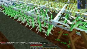 Minecraft: Industrial Craft 2: селекция, основы
