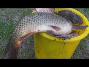 Рыбалка-Ловля-карпа-карася-на-три-разные