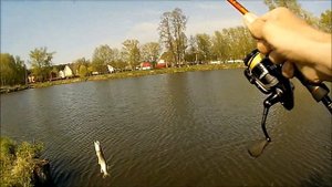 Тест обзор спиннинга  Maximus GRAVITY 23ML 2,3 м. 5-21 гр