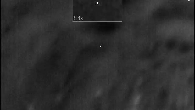 Pulsar Trail XQ50 смотреть онлайн