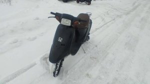 Honda Pal AF-17. (Пал Палыч!) 12.03.2023