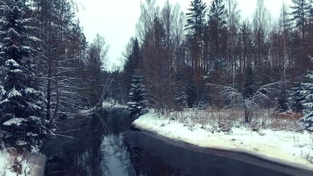 Зимний поход вдоль реки Рощинка.