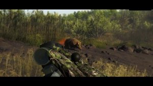 The Hunter Classic Кабан охота и выполнение миссий Гайд для новичков