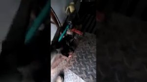 Ппуа 1600 запуск с пульта и переход на раб режим