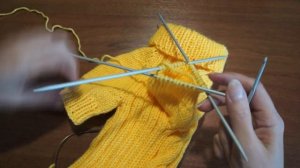 Свитер для кота или собаки.